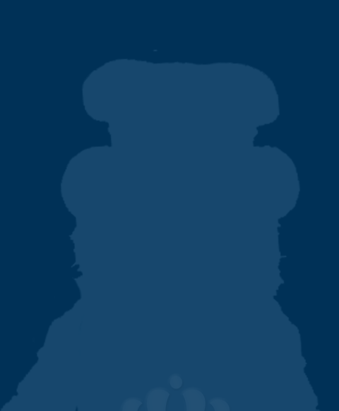 placeholder-image